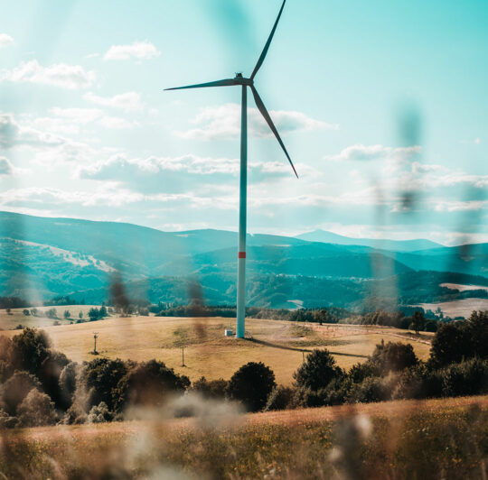 portfolio-22 portfolio-22